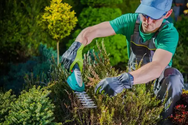 landscaping services Au Sable